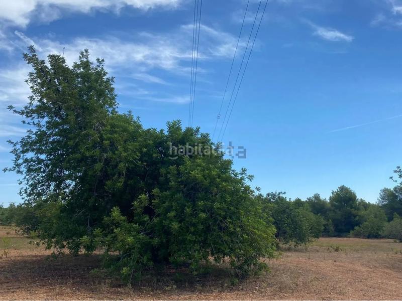 Foto 818ad036-2015-44f3-bada-f3b99fee8b48. Fondo rustico in extrarradio diseminado 1 in Roda de Barà