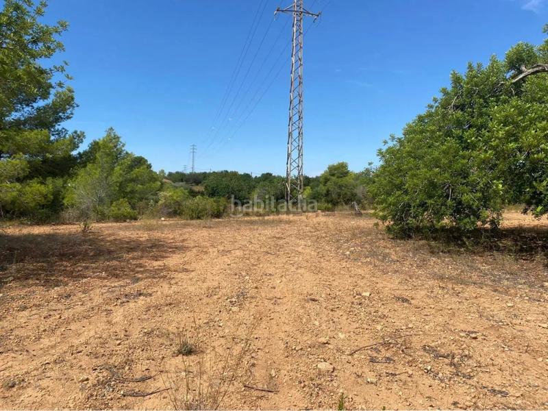 Foto 82886307-cad4-4bf9-9a28-21374b1e0e70. Fondo rustico in extrarradio diseminado 1 in Roda de Barà