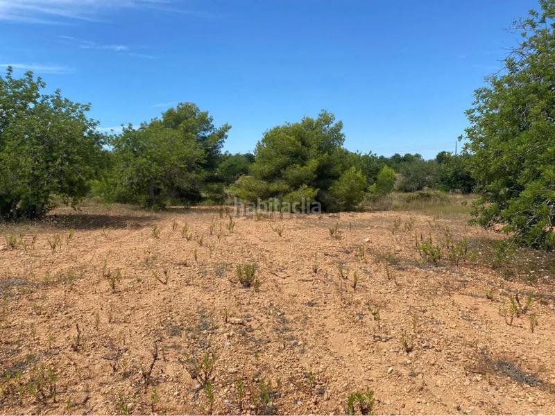 Foto 9139e8a0-51c1-44da-8939-a87443c12f53. Fondo rustico in extrarradio diseminado 1 in Roda de Barà