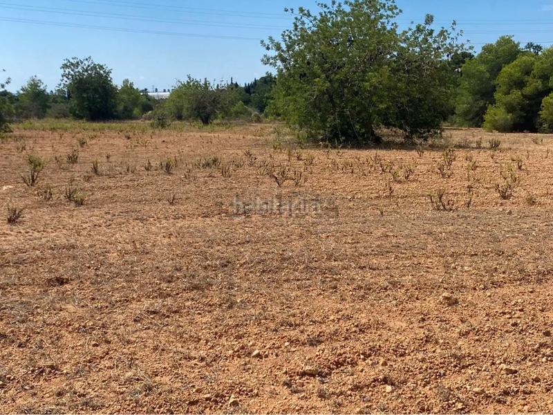 Foto aad1b8a2-6c79-49de-99ad-868a379d87e8. Fondo rustico in extrarradio diseminado 1 in Roda de Barà