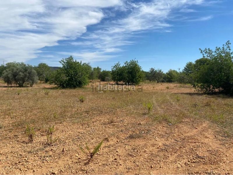 Foto ce94081f-b53b-4ec5-8675-1e491ef51366. Fondo rustico in extrarradio diseminado 1 in Roda de Barà