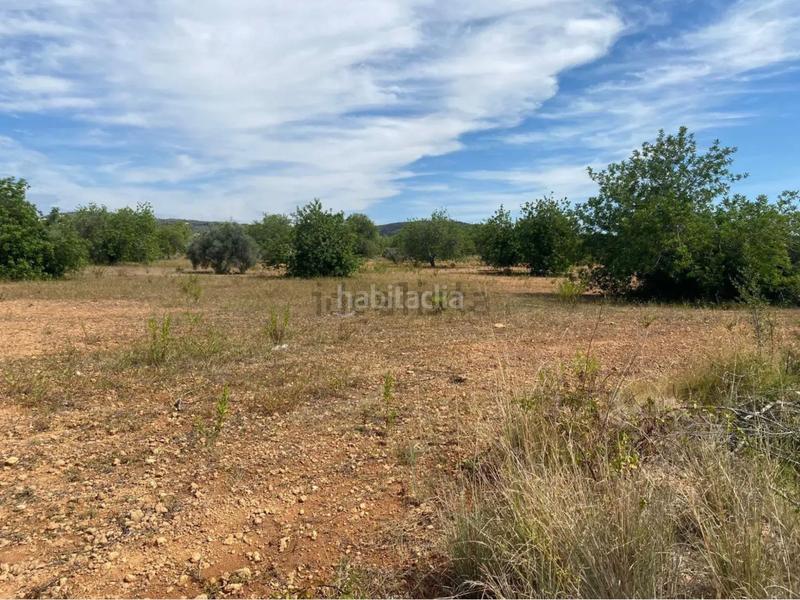 Foto e06d1548-3170-4afc-b00d-9f6cb1ff3f0a. Fondo rustico in extrarradio diseminado 1 in Roda de Barà