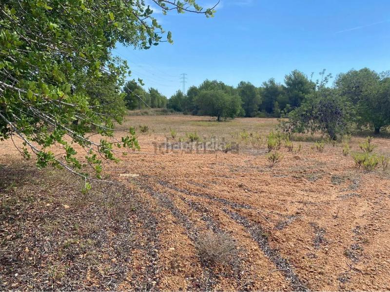 Foto e833ee51-b707-44e0-9de3-dee19f035c14. Fondo rustico in extrarradio diseminado 1 in Roda de Barà