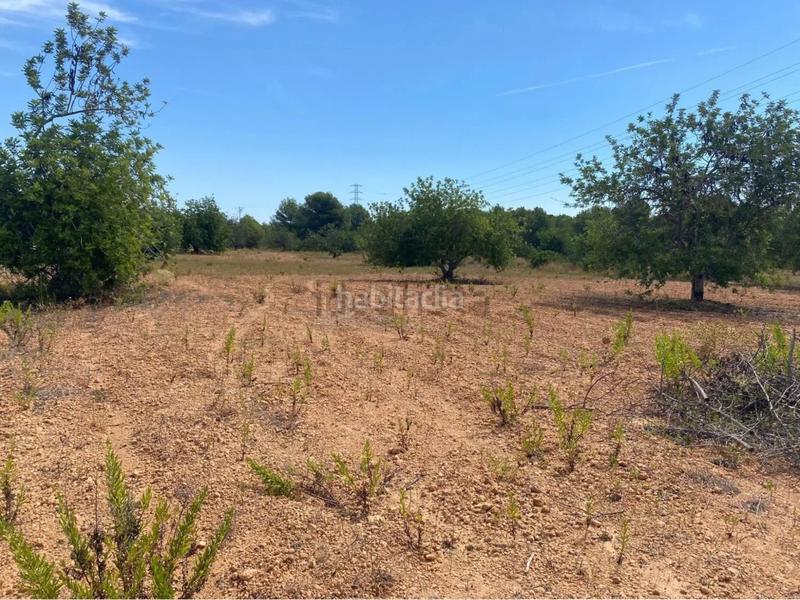 Foto ea9d4b46-4340-4783-9005-f36b2b595e86. Fondo rustico in extrarradio diseminado 1 in Roda de Barà