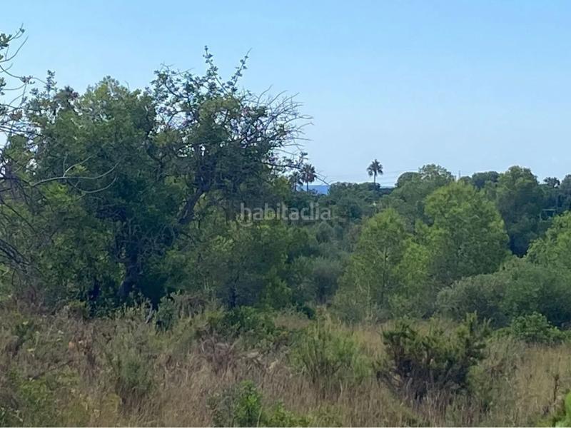 Foto f1306e42-e5f4-48bb-a9fa-bdfe718f9ebd. Fondo rustico in extrarradio diseminado 1 in Roda de Barà