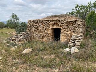 Finca rústica  Carrer dels teixidors. Terreno en venta en el pla de santa maria