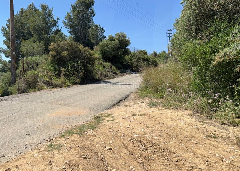 Foto 0bc05ff9-2b22-46dd-a7a6-f84c7861e6ad. Finca rústica a camí del cementiri 97 a Arboç (L´)
