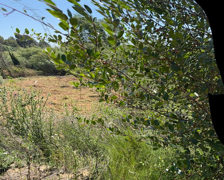 Foto 1499e279-e940-40da-864c-93660b4644e6. Finca rústica a camí del cementiri 97 a Arboç (L´)