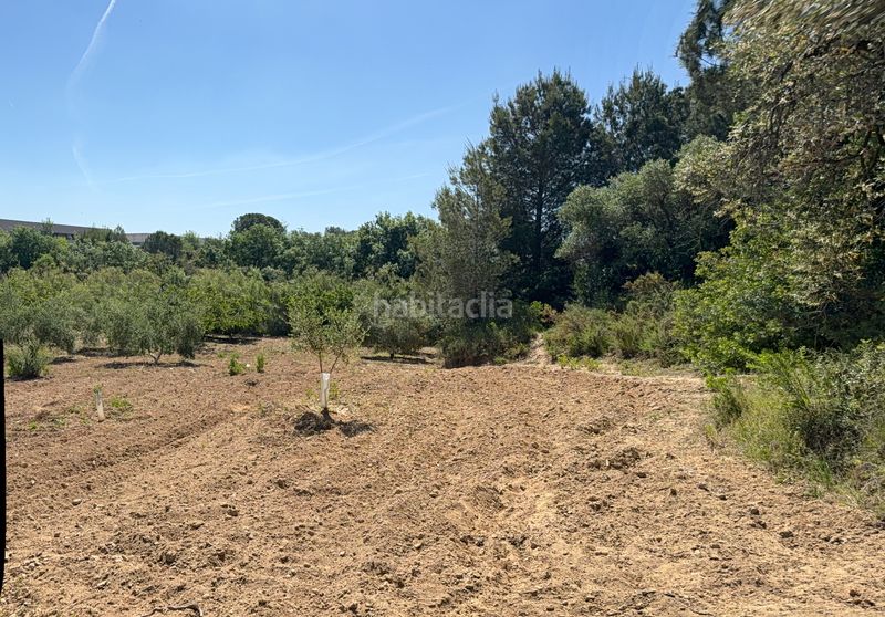 Foto 3c0ba946-815e-44de-a227-64eeff89ca4a. Finca rústica a camí del cementiri 97 a Arboç (L´)