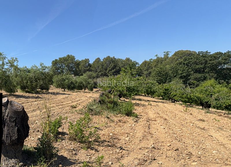 Foto 41140fc3-a759-450d-86fc-d8d421defb48. Finca rústica a camí del cementiri 97 a Arboç (L´)
