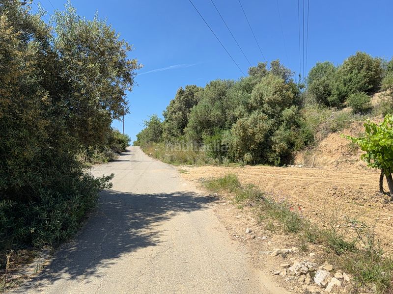 Foto 70041adc-d6fb-46a7-97cf-8072b8f9f25b. Finca rústica a camí del cementiri 97 a Arboç (L´)