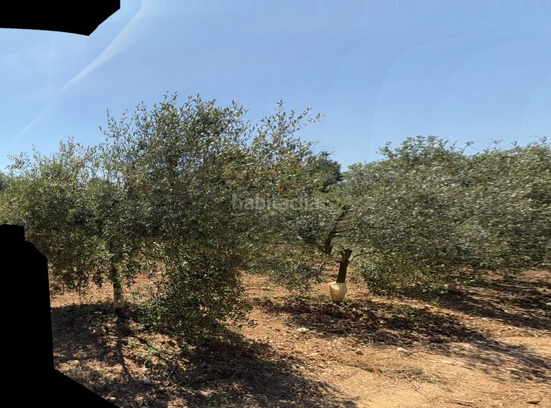 Foto d813e4db-1be5-4ada-98e5-e7d3742e6a09. Finca rústica a camí del cementiri 97 a Arboç (L´)