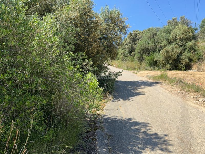 Foto e50bd52a-574b-40f6-90e9-7e56cd88efb2. Finca rústica a camí del cementiri 97 a Arboç (L´)