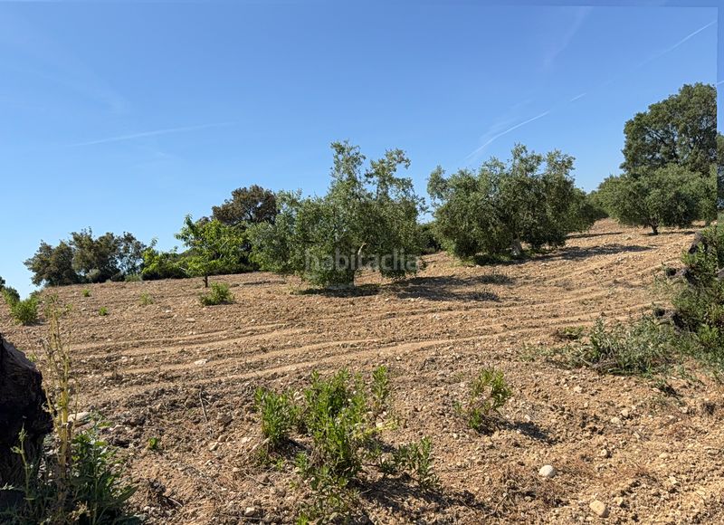 Foto e8c4fc2f-1e9e-456e-b35b-8776291117b1. Finca rústica a camí del cementiri 97 a Arboç (L´)