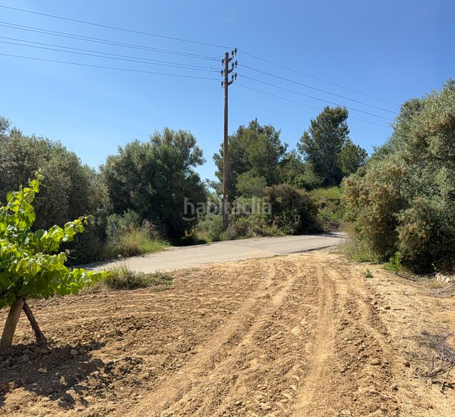Foto ee39ec91-72c1-4784-a543-9cd64866be41. Finca rústica a camí del cementiri 97 a Arboç (L´)