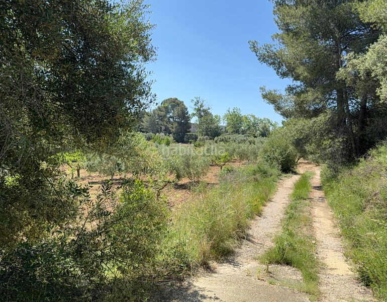 Foto f2443f8e-215d-4cfd-8812-66cca9c7cef5. Finca rústica a camí del cementiri 97 a Arboç (L´)