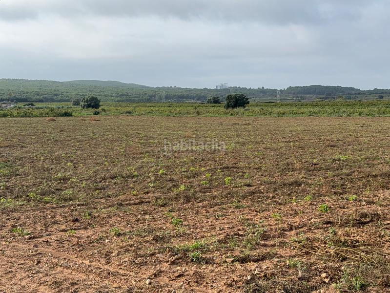 Foto 49a00d11-d60e-4e58-8ae7-234fee8f1e57. Casale in Arboç (L´)