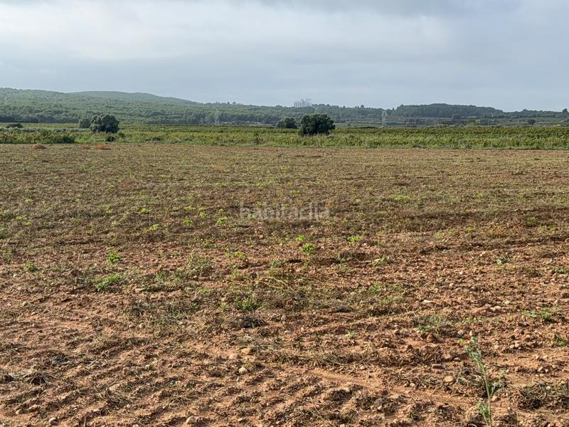 Foto 57fd6057-cc33-4c3b-b566-0db4c55f351b. Casale in Arboç (L´)