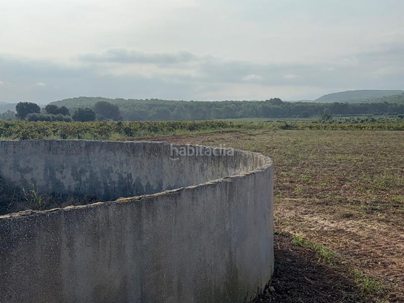 Foto 6fd8e5e3-4aa3-439b-b658-dbfda0bad260. Casale in Arboç (L´)