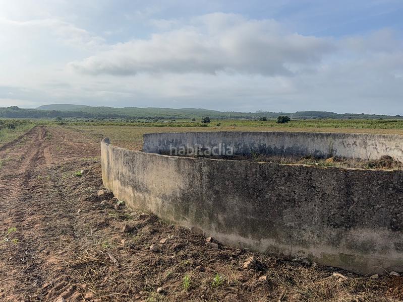 Foto d190f417-46c6-41d6-b23c-630cab657c5f. Casale in Arboç (L´)