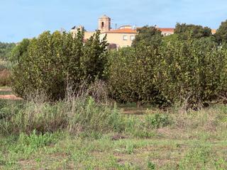 Landgut  N/a. Espectacular huerto de 4.000 m² en ardeña (riera de gaià)