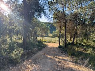Landgut in Subirats. Finca de recreo en ordal