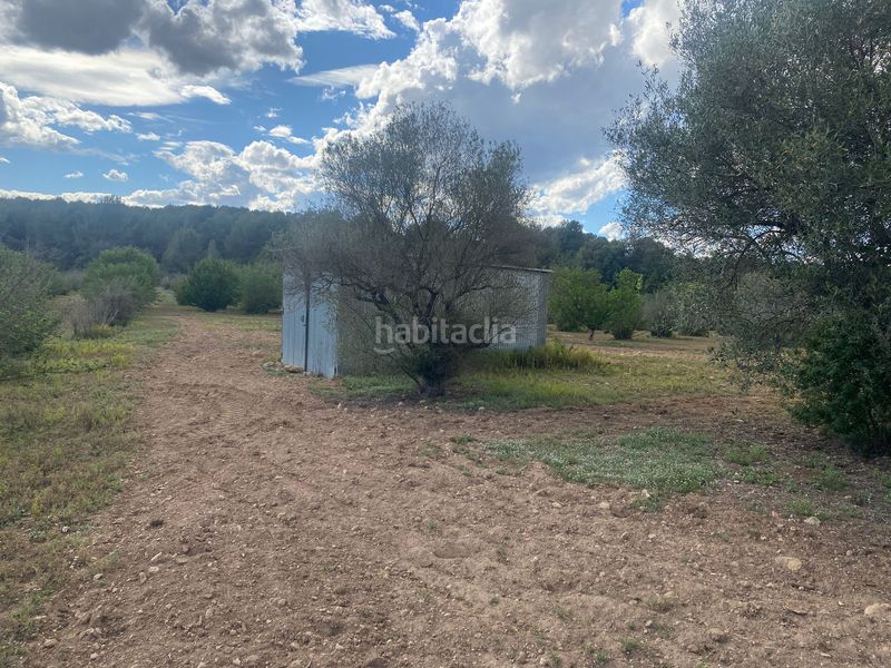 Foto 20fa60fb-3c74-45c1-9098-4b56f422bed3. Finca rústica a Perafort