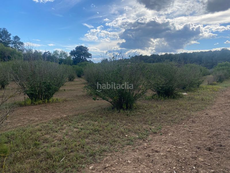 Foto 616c9297-20fb-4a2b-8482-d907673e4e28. Finca rústica a Perafort