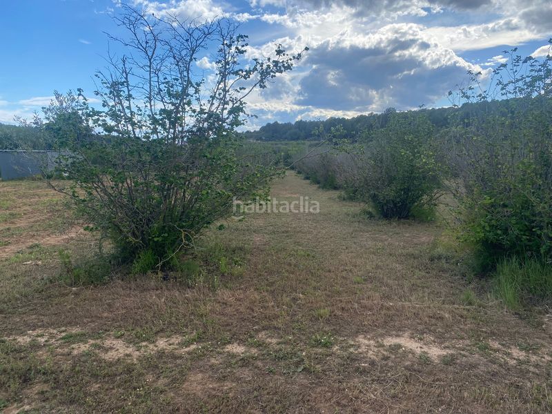 Foto a5431cb4-11fc-4429-8522-8d8c6c7aa411. Finca rústica a Perafort