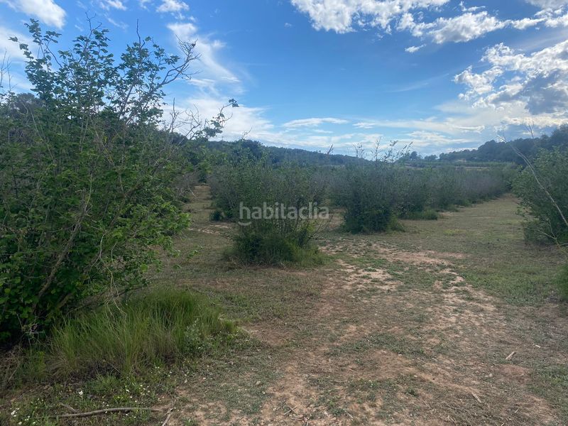Foto e4fb1a29-d40a-41e2-b51c-8cf17849e3a8. Finca rústica a Perafort
