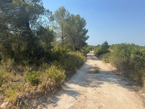 Finca rústica en Carrer molí del mig 29. Finca rústica forestal en vilabella - oportunidad de inversión a