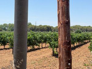 Fondo rustico in Plaça de l'ajuntament 5. Terreno rústico en producción - bañeras del penedès