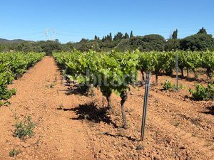 Foto 9fb37d6c-f3e4-419c-89a4-66934817a783. Finca rústica a n/a a Santa Oliva