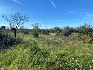 Finca rústica en Carrer de baix 14. Terrero en el pont d'armentera