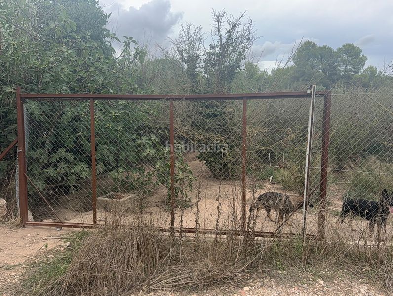 Foto bec0fb66-91a5-49ef-915c-046c5a0b0730. Finca rústica a carretera del catllar 22 a Catllar (El)