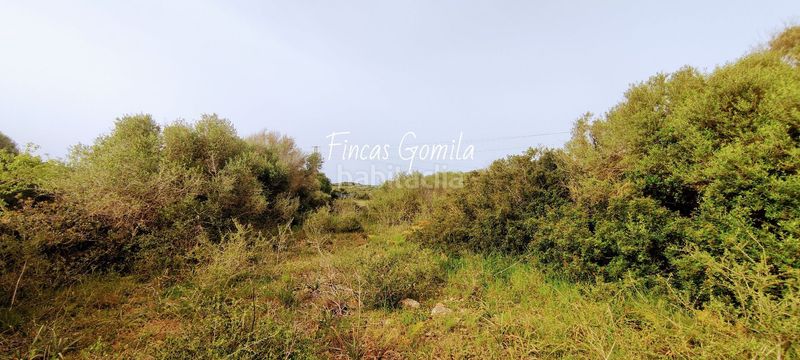 Foto 0a3a1270-8855-4e80-b2e6-ddb6f8946042. Masia a Alaior poble Alaior