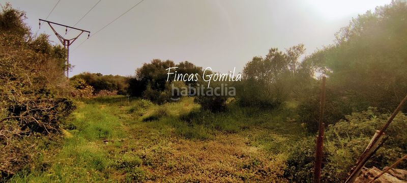 Foto 5650ee9a-9ca4-4573-b2d3-60f6ea469d7f. Masia a Alaior poble Alaior
