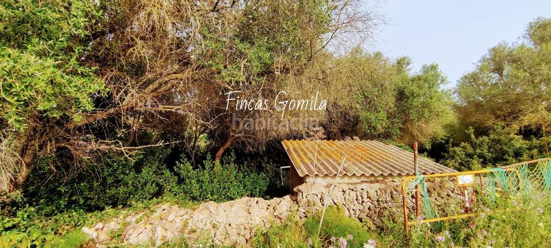 Foto 61c53763-6919-49c2-8ecf-d39f0a8dff29. Masia a Alaior poble Alaior