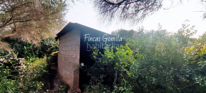 Foto 690f9199-31b4-494e-821c-95c7a8b05456. Masia a Alaior poble Alaior