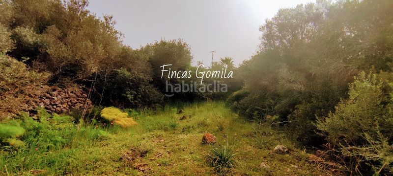 Foto a5332929-66b7-4fc6-9958-84dc0fc57e85. Masia a Alaior poble Alaior