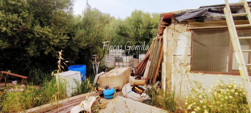 Foto cbbad35a-abca-4ccd-8a5d-a009b0ef1d00. Masia a Alaior poble Alaior