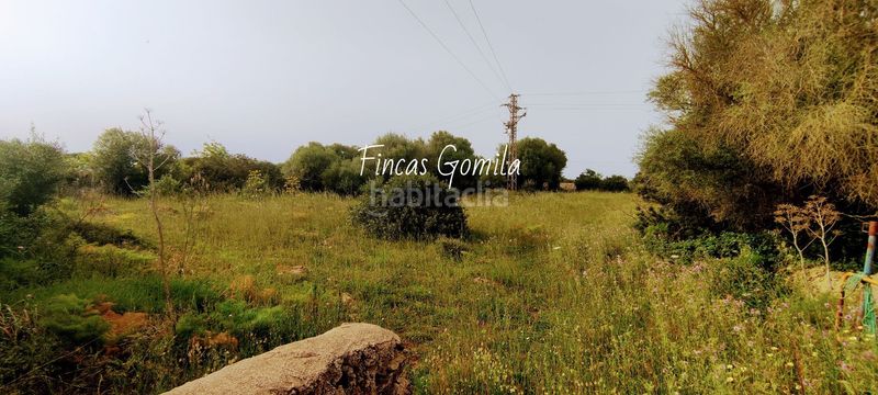 Foto cc93deab-2971-42f9-ac9a-591b3149ad97. Masia a Alaior poble Alaior