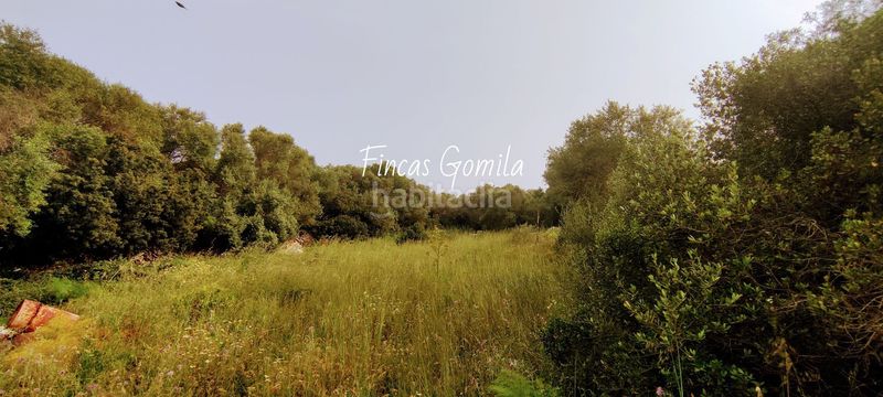 Foto f0628ecf-2a74-4113-a132-33431f99cc14. Masia a Alaior poble Alaior
