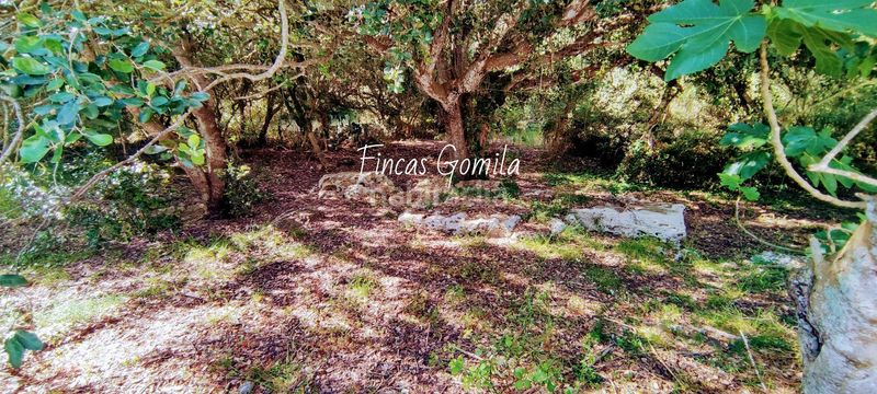 Foto 7d55a0fd-58f8-4968-81b9-72d62499ad84. Masia a Alaior poble Alaior