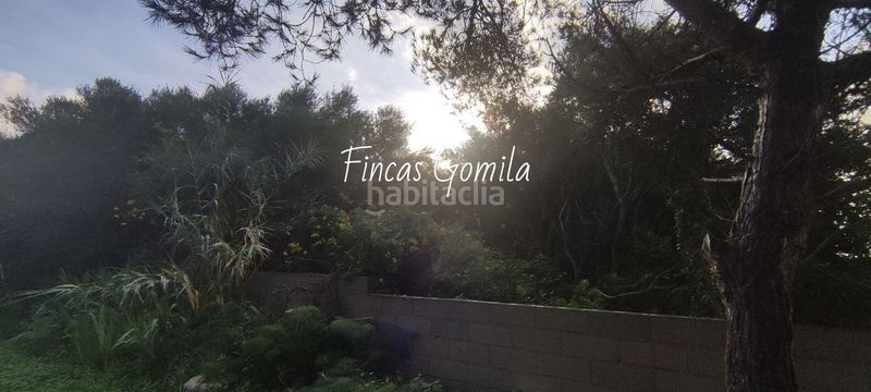 Foto 6c17050e-4d27-4941-b0dc-11f5dd31040c. Terreno residencial parcela edificable en Cala en Porter Alaior