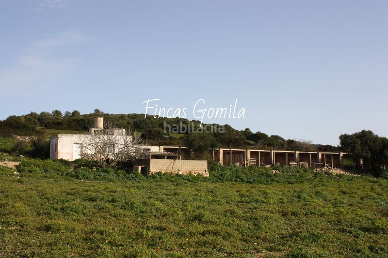 Foto 05f1c509-eca9-4989-a198-08338eef9ce4. Masia a Son Bou-Sant Jaume Alaior