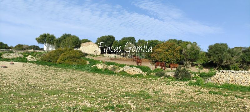 Foto 0e325bda-a9f3-4099-9c32-d0678538871f. Masia a Son Bou-Sant Jaume Alaior