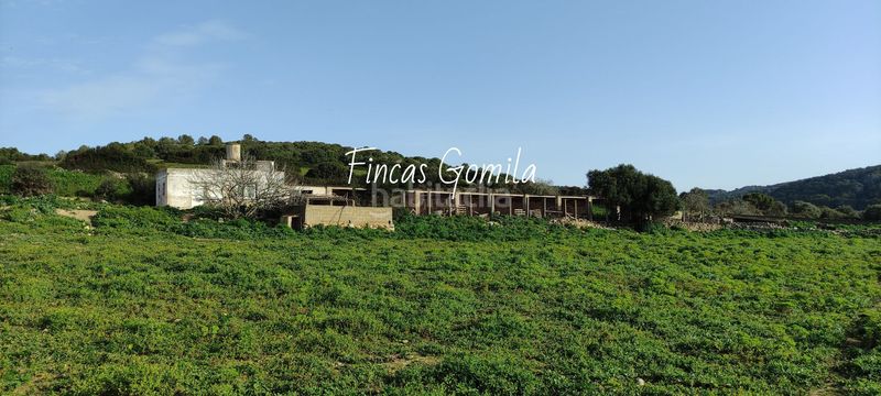 Foto 1764fe00-9e42-4410-8eb6-81dd98c664a6. Masia a Son Bou-Sant Jaume Alaior