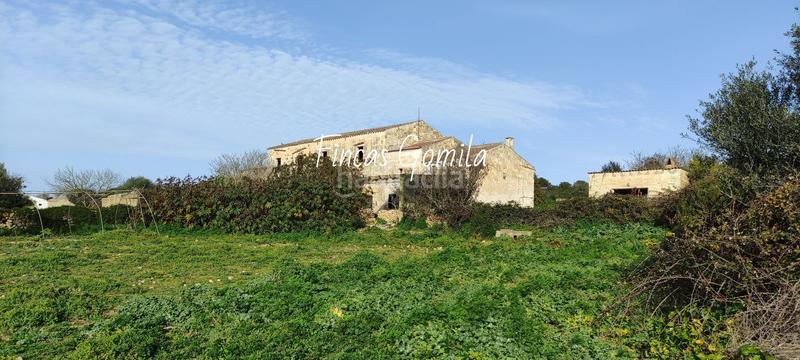 Foto 205abeae-8b06-4fe6-a542-571b9f11ceaa. Masia a Son Bou-Sant Jaume Alaior