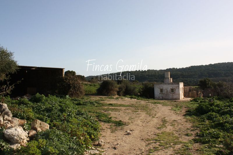 Foto 23c16768-954b-4bf4-baee-0b4ade4b6051. Masia a Son Bou-Sant Jaume Alaior